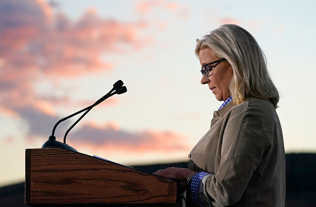 Did Liz Cheney Violate FEC Rules During Concession Speech?